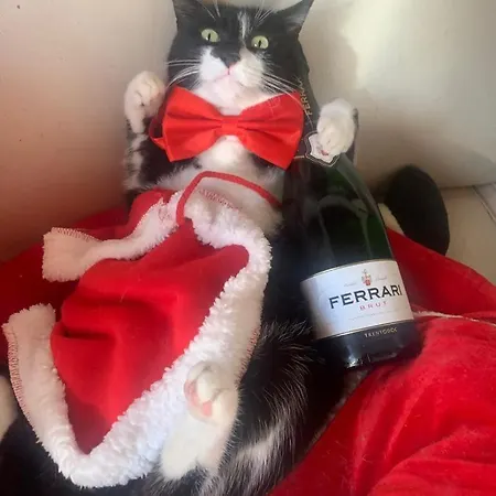 Piazzaitaliasuite Con Terrazza *